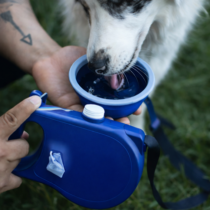 Correa " Todo en Uno" para tu mascota